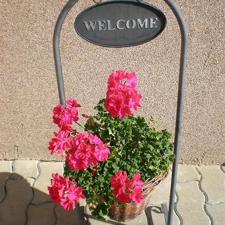 Apartment Anna